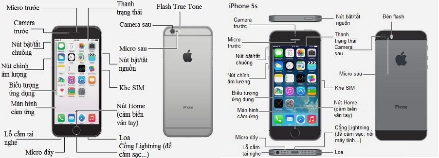 iPhone 6/6 Plus và iPhone 5, 5S.